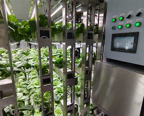 Land Mobile Shelf Vegetable Factory