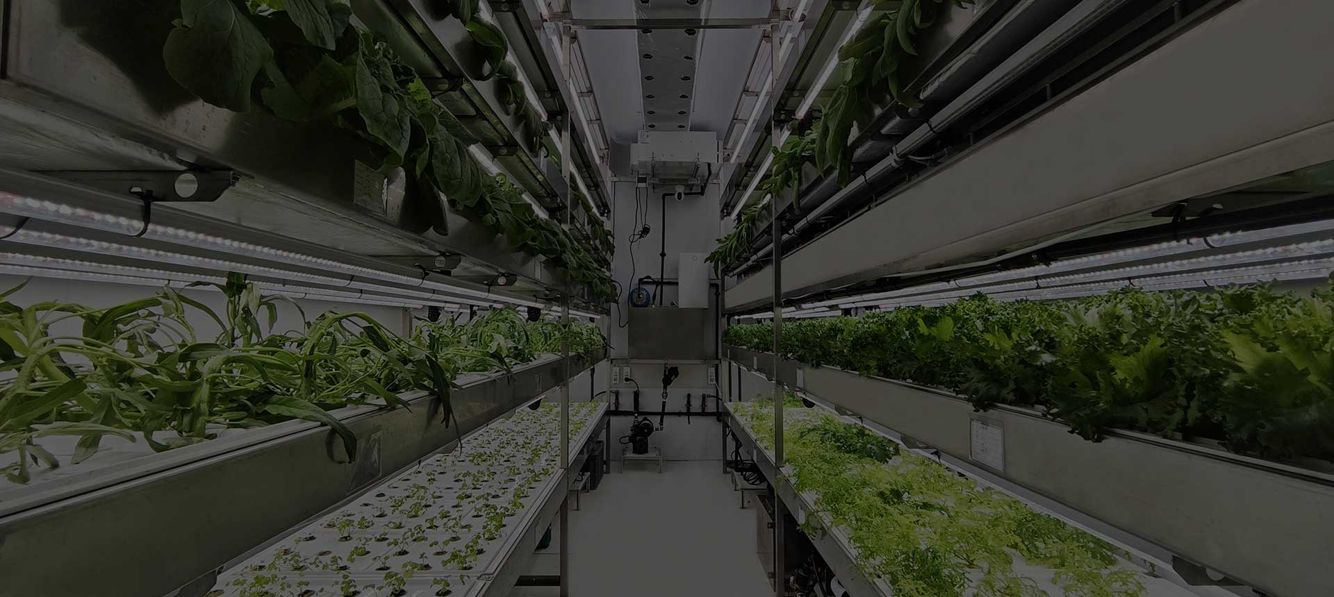 Small space, large output