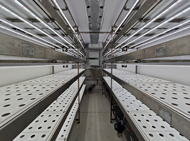 Land container vegetable factory