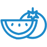 Land Mobile Shelf Vegetable Factory